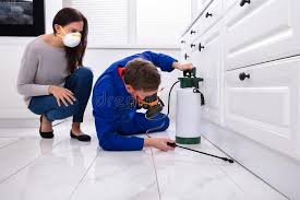 Best Pest Control for Multi-Family Homes  in Williamson, WV